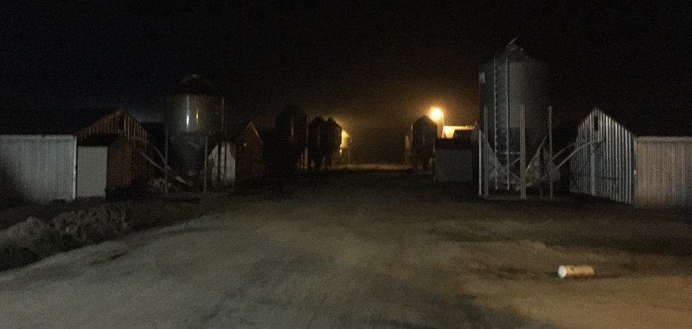Facilities like this one, where DxE saved a piglet named Miley, will soon be a distant memory.