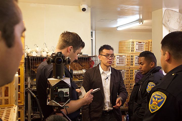 DxE co-founder, Wayne Hsiung, being arrested after refusing to leave the slaughterhouse unless all the individuals there were released.