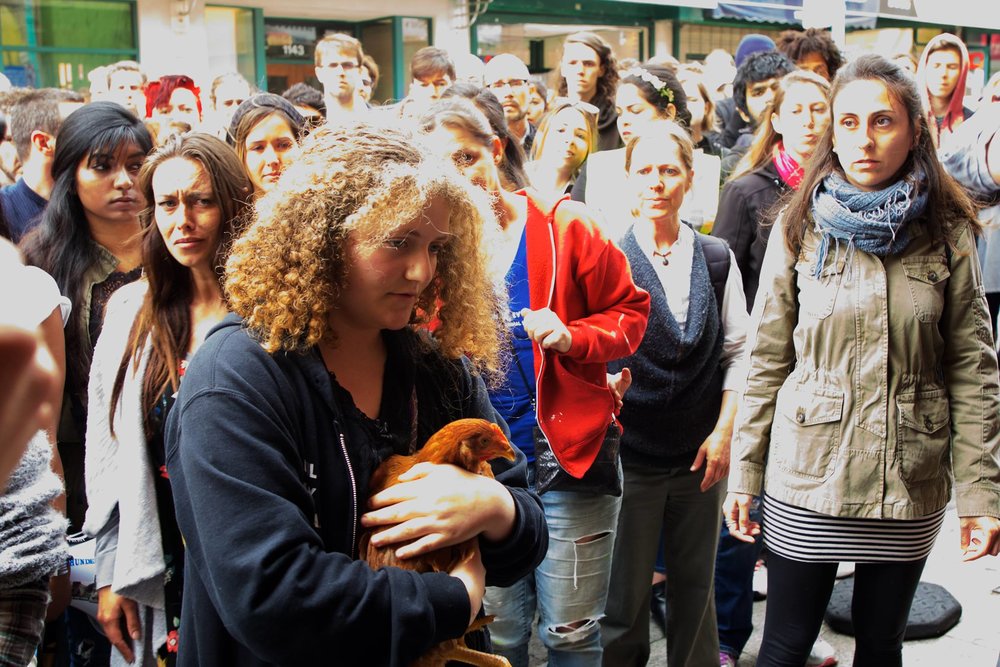 Zoe Rosenberg receives a hen for rescue from the slaughterhouse. Photograph by Michael Goldberg.