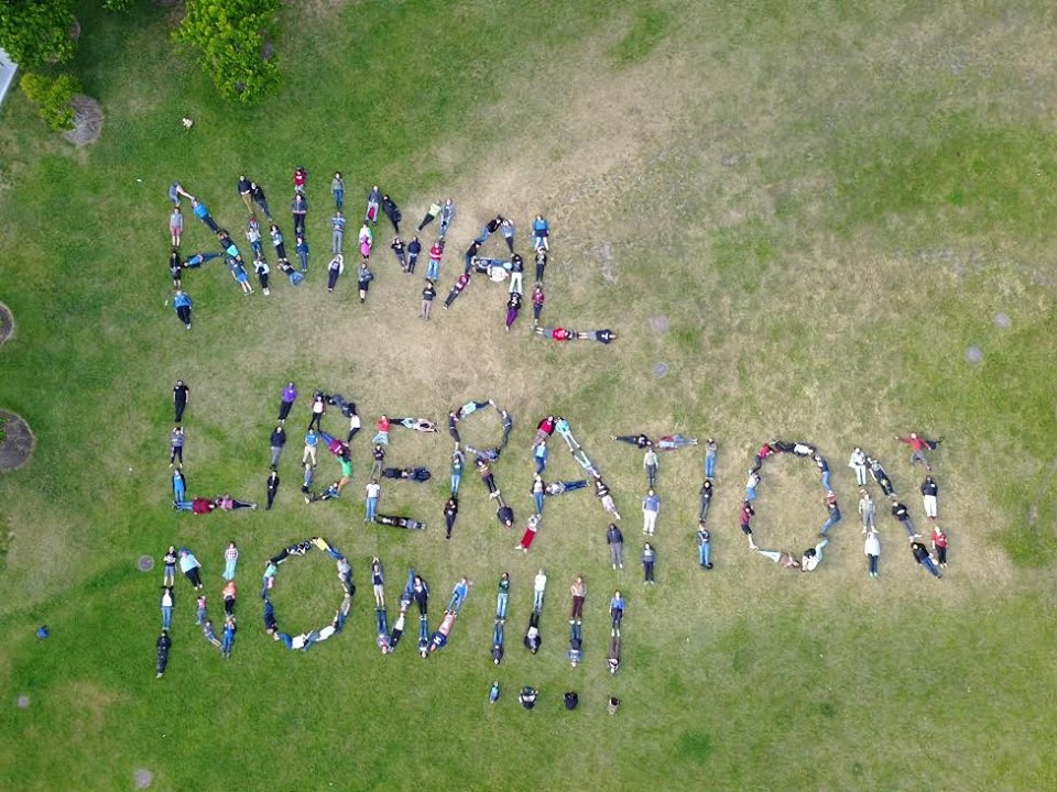 DxE Forum attendees spell out