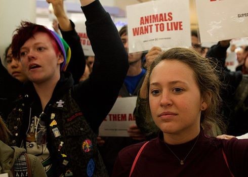 Charlie Sudlow and Calen Otto protesting with other DxE members in San Francisco, CA
