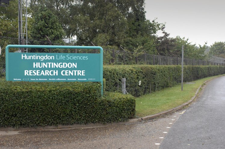 Animal rights activists have been working to shut down Huntingdon Life Sciences for decades.