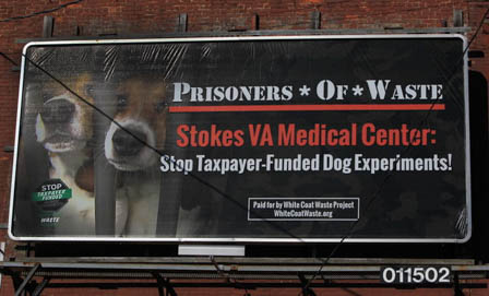 The White Coat Waste Project’s conservative agenda is good for dogs.