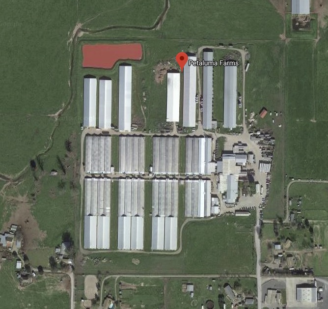 DxE estimates there are one-to-two million hens at this “small family farm.”