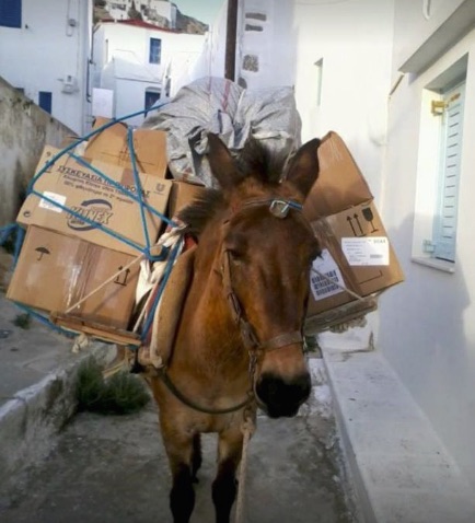 Donkey in Santorini, Italy forced to carry heavy load.