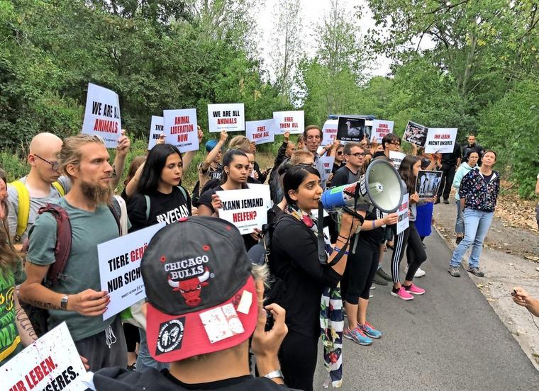 DxE organizer Priya Sawhney leads a protest in Berlin.