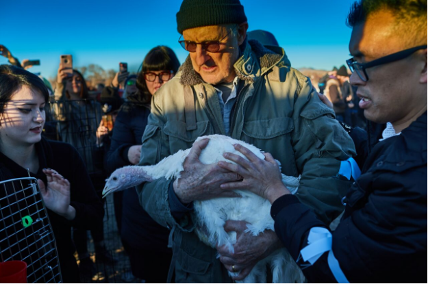 Actor James Cromwell rescuing one of 100 turkeys alongside DxE founder and Norbest defendant Wayne Hsiung. Photo by Michael Goldberg/DxE