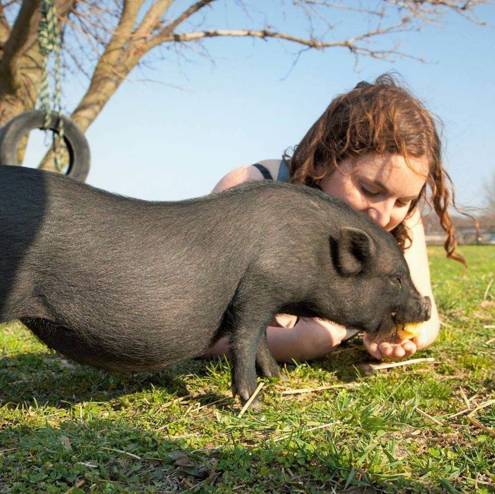 Activist Eva Hamer hanging out with a pig friend