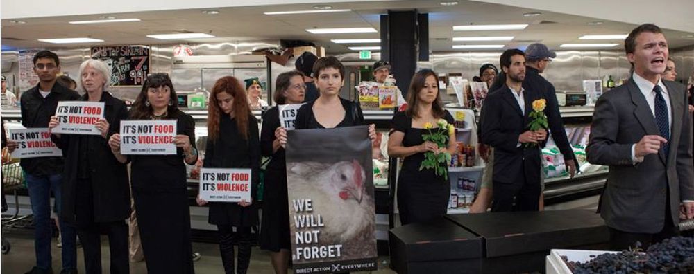 DxE's October 2014 International Day of Action: Ghosts in the Machine , Berkeley Bowl, Berkeley, CA. Photo by Pax Ahimsa Gethen.
