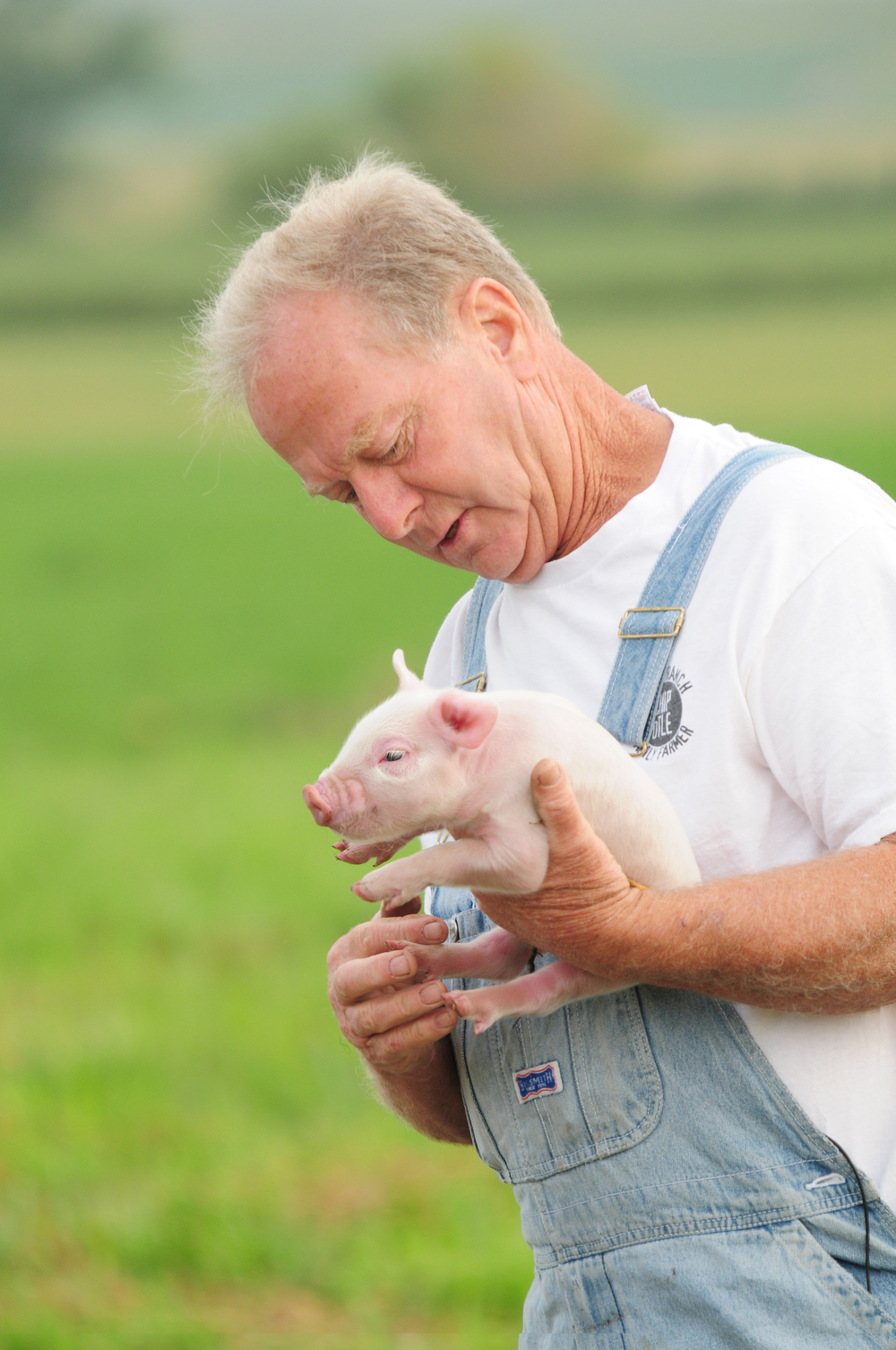 Paul Willis on his farm in Thornton, Iowa.