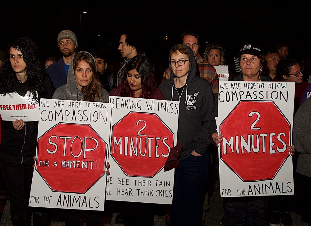 Activists stage a vigil and blockade at a slaughterhouse in Petaluma, CA. Photograph by Michael Goldberg.