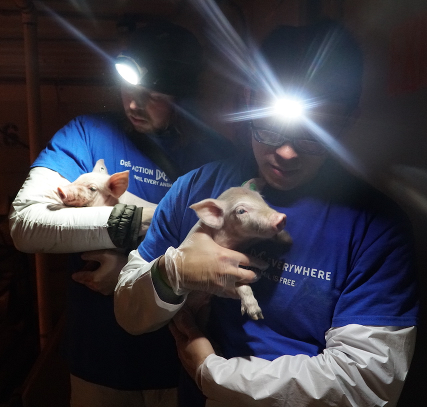 Beautiful big living in a sanctuary