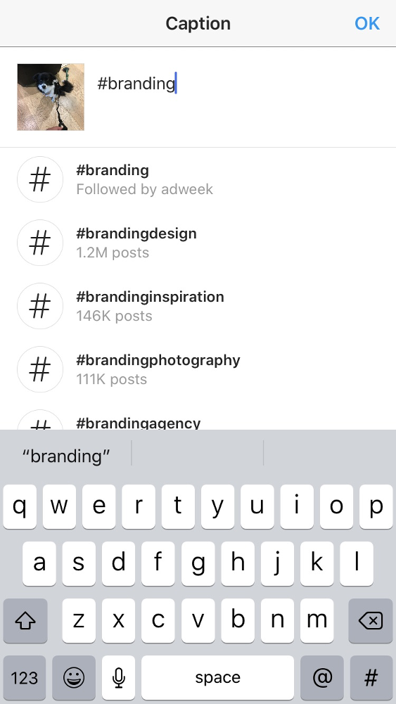 Discover the best Instagram hashtags