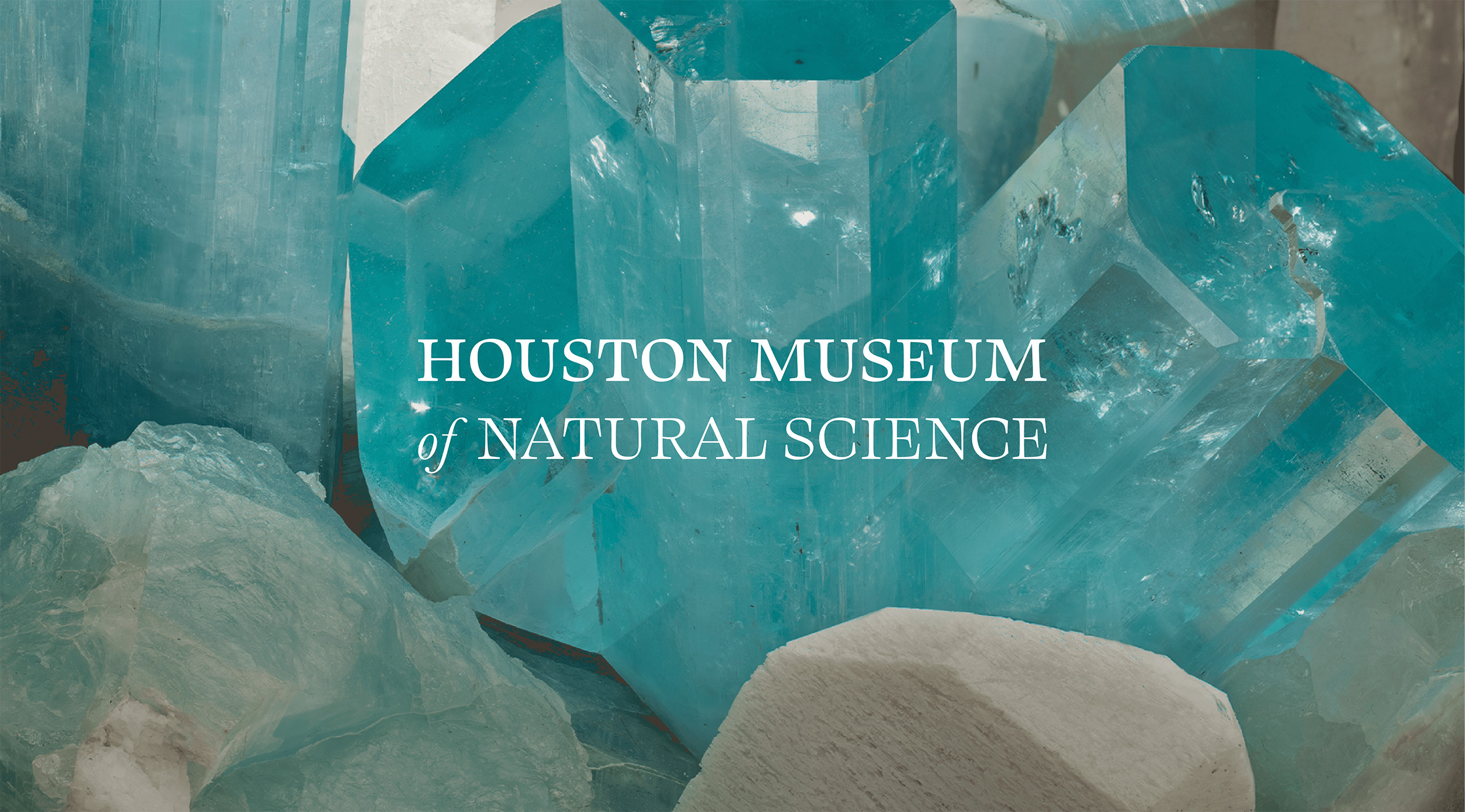 IS THE HOUSTON MUSEUM OF NATURAL SCIENCE OPEN ON LABOR DAY visual data 6