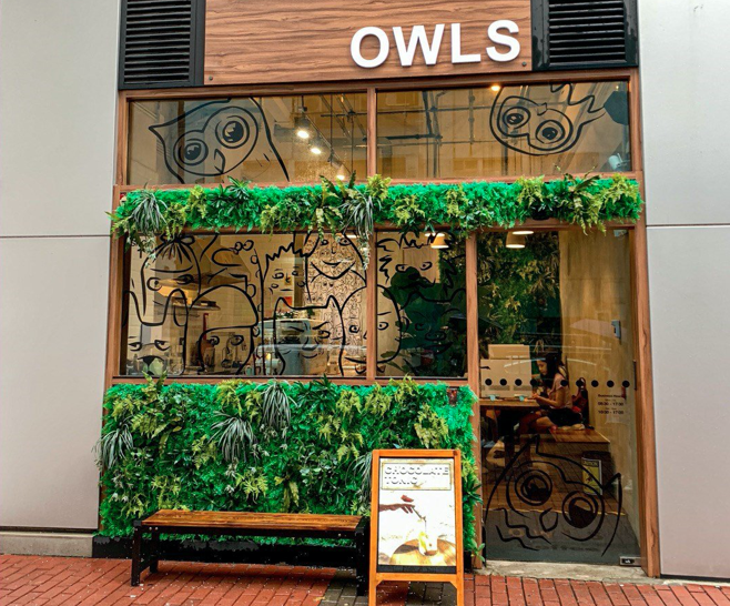 owls cafe lai chi kok