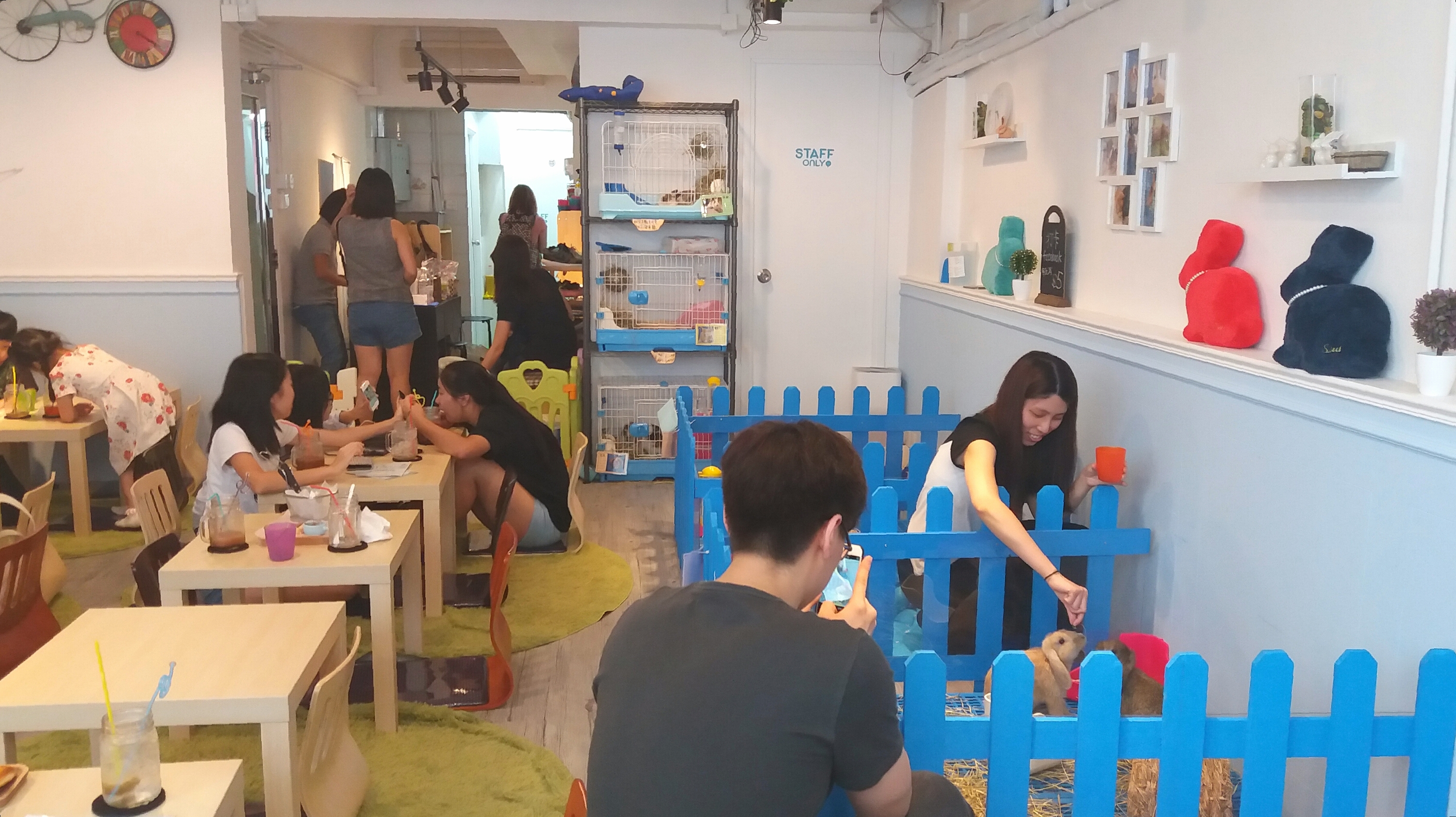 Pet cafe Hong Kong
