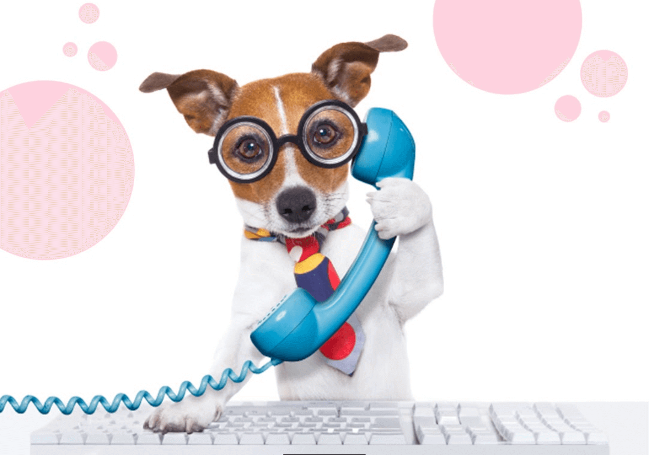 How to outsource business calls and save meaningful time!