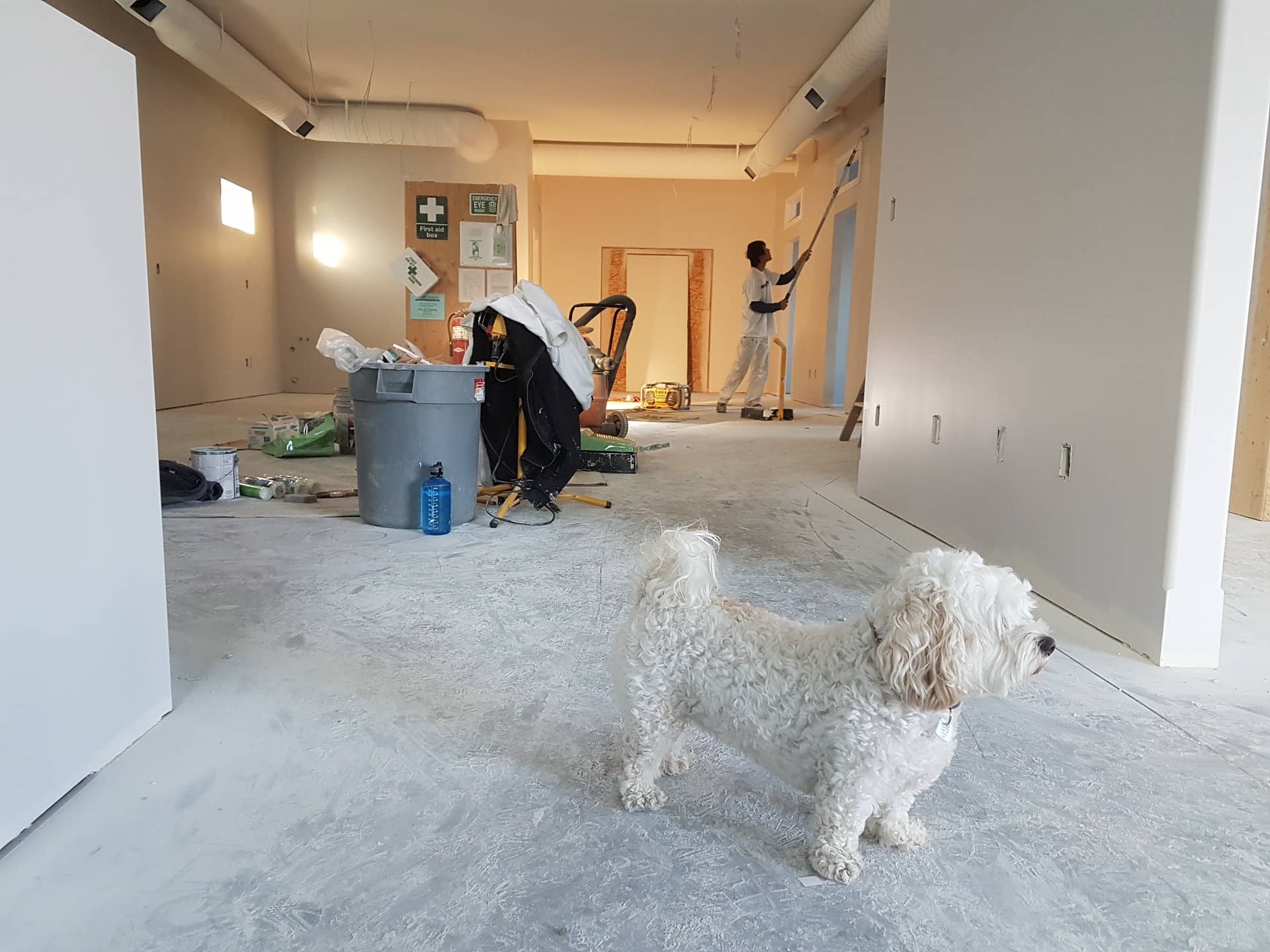 The Employers Apprenticeship Guide [Construction Edition]