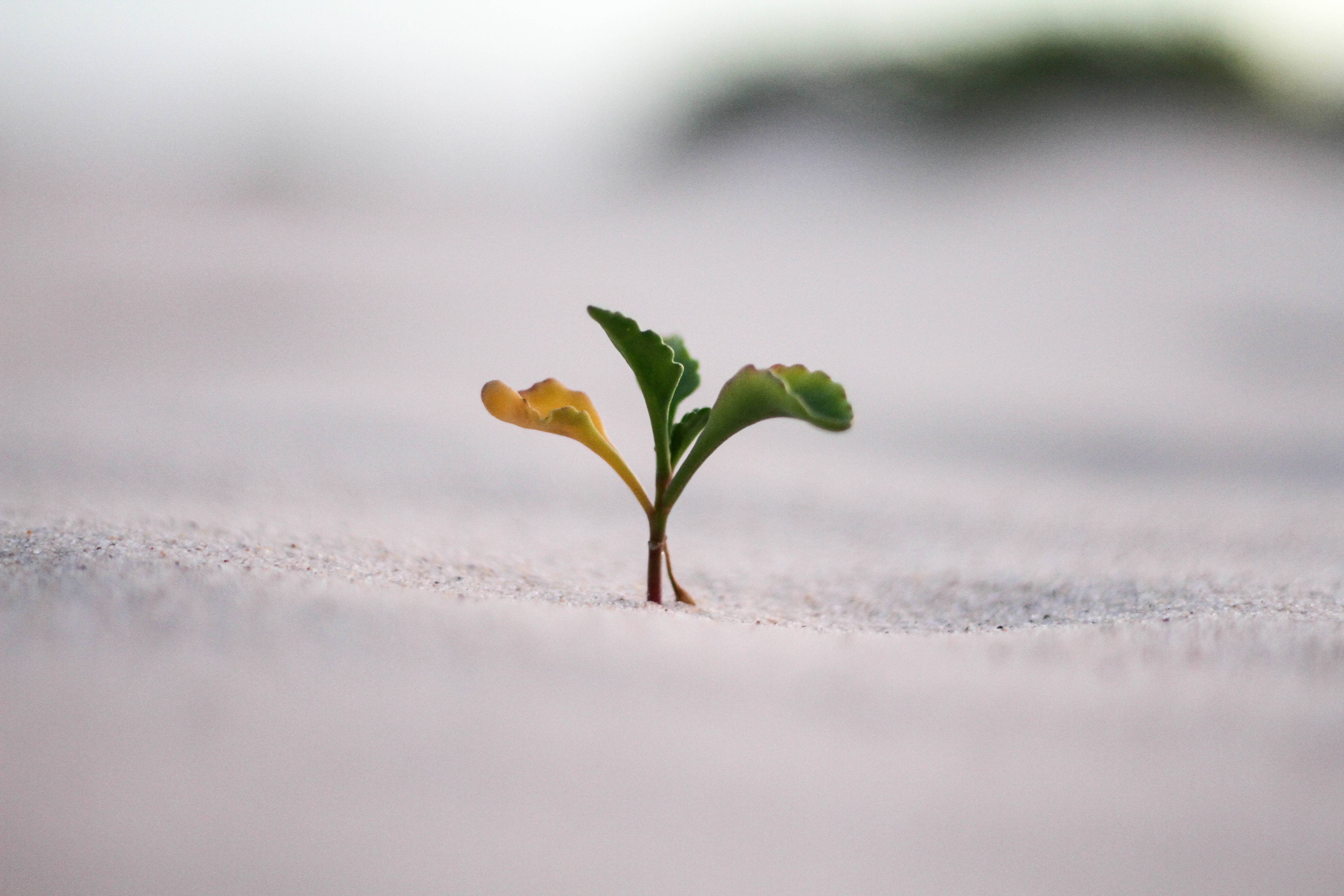 How can my Construction Business Succeed?