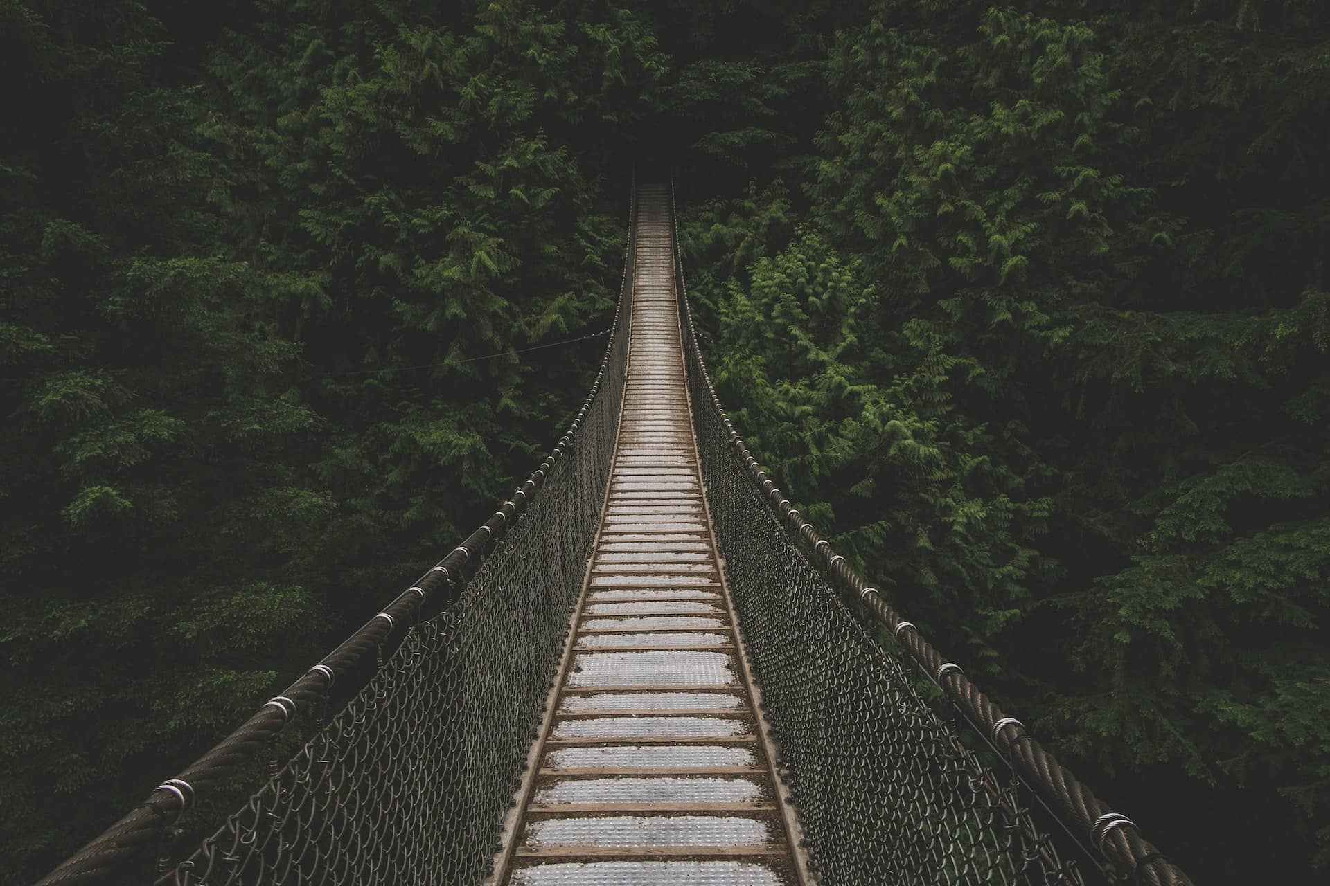 Incompetence to competence - The journey and why it matters.