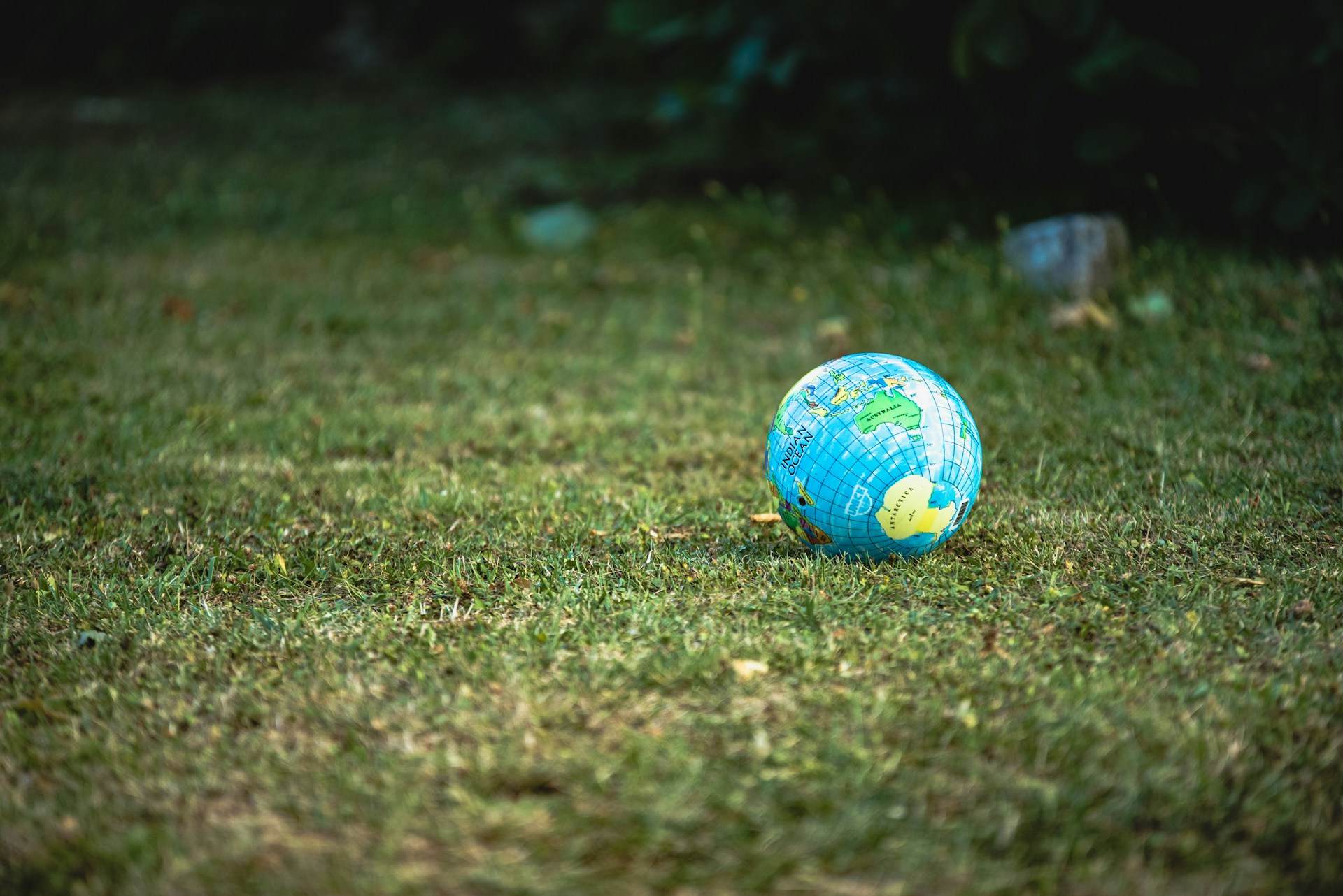 What is greenwashing? The Harsh Truth Behind Social Values