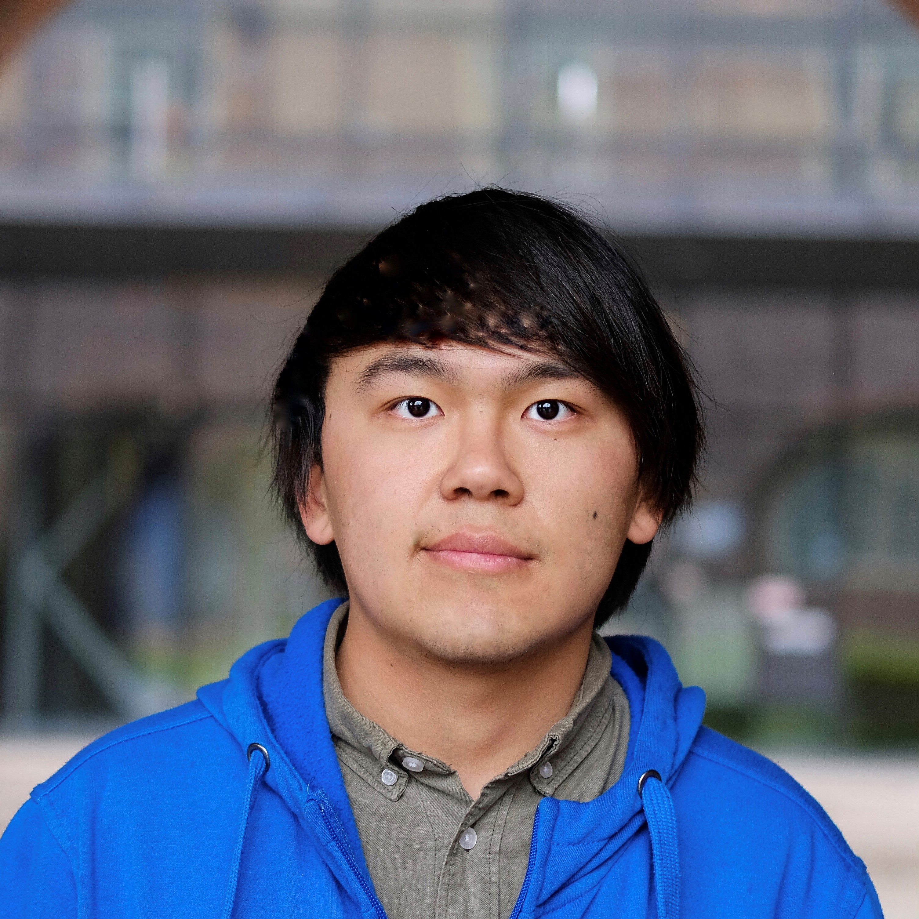Software Developer
