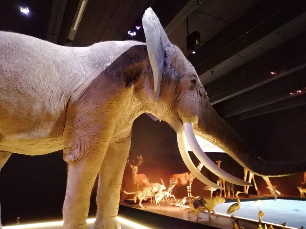 Naturalis Holand Museu de História Natural Holanda The Netherlands