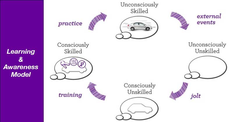 learning & awareness model - professional business advice