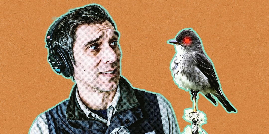 Artificial Intelligence in Bird Research Podcast Episode