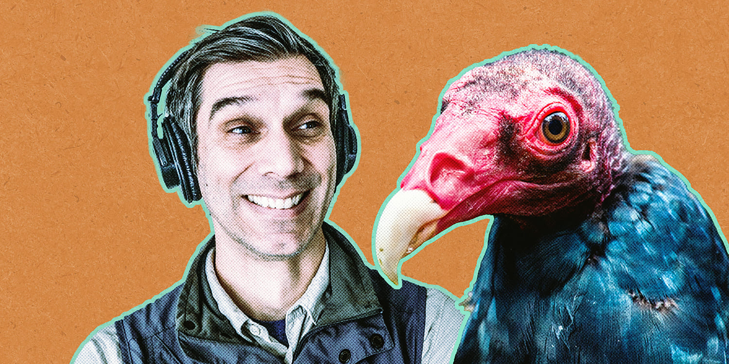 New World Vultures Podcast Episode