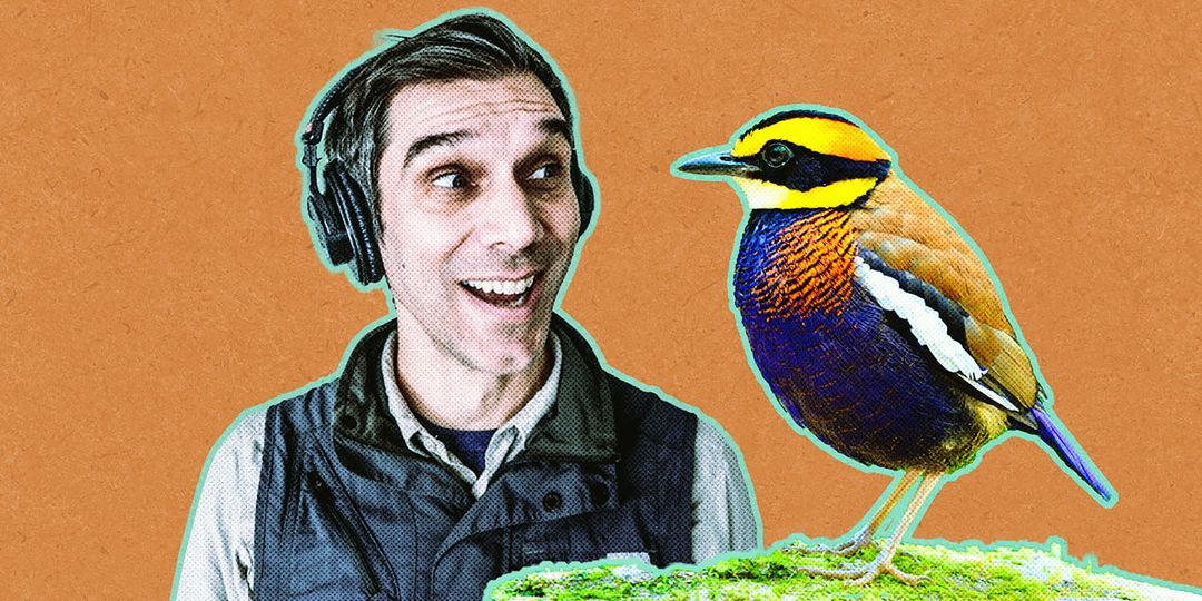 How Bird Feathers Get Their Colors Podcast Episode