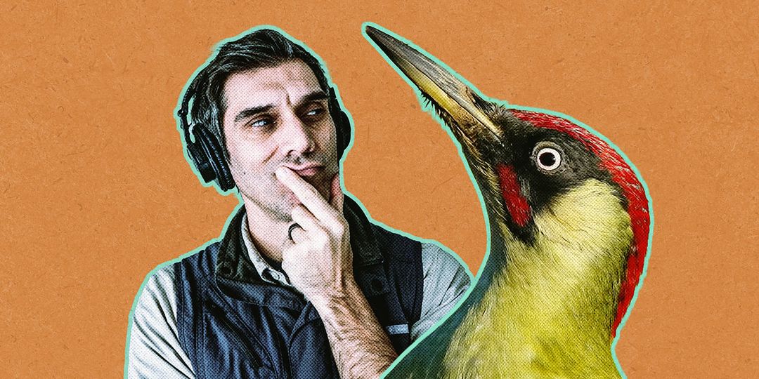 What's the Deal With Birds? Podcast Episode