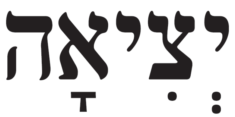 שבוע של קיצוצים, ביצים וסולידריות מזויפת | מוסף כלכליסט