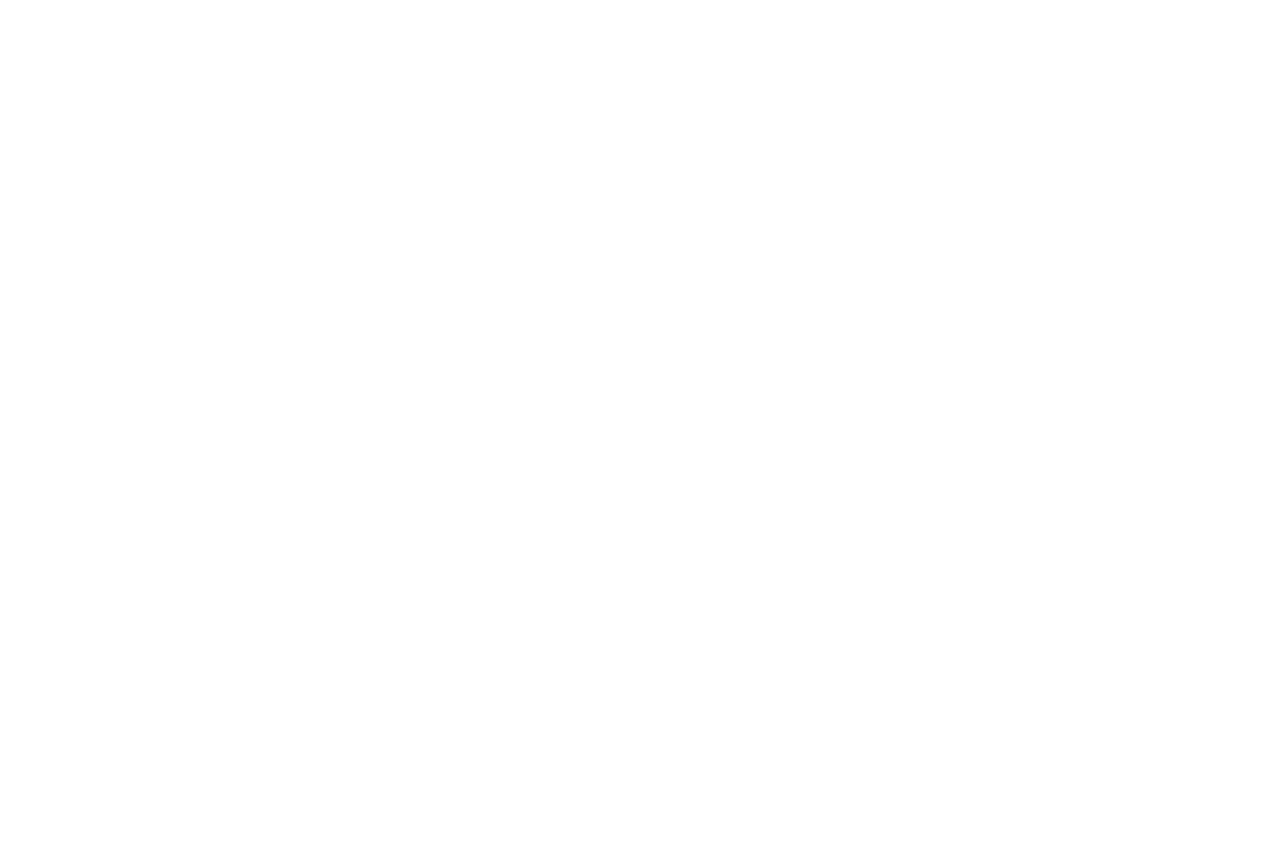 Whu Euromasters 2022