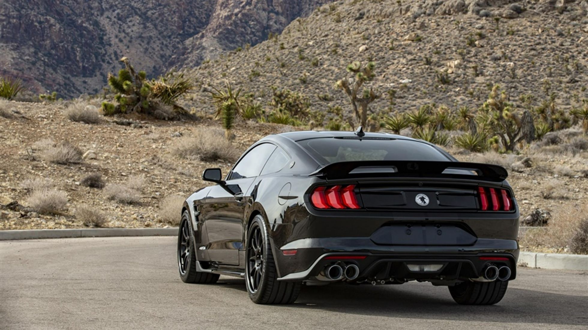 Shelby Centenial Edition Mustang Rear