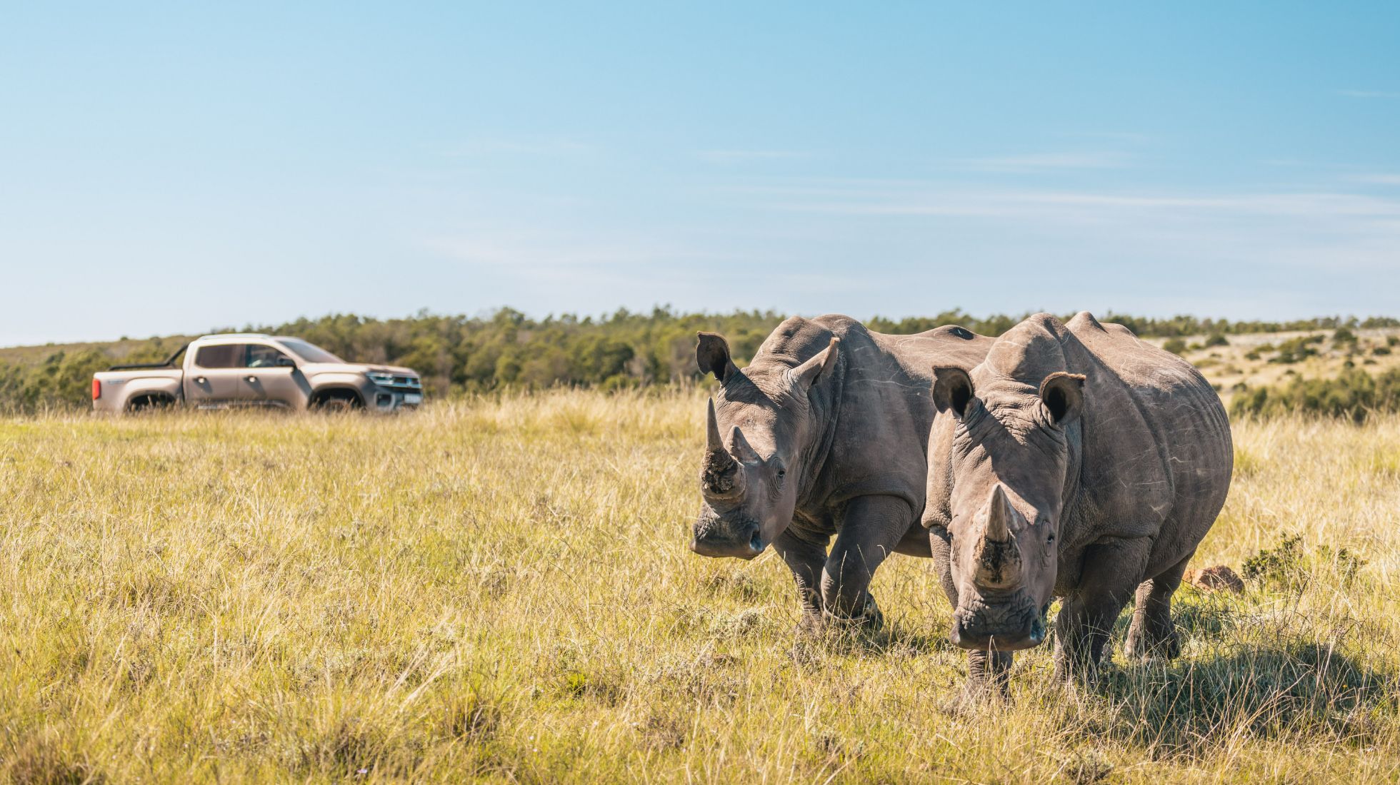 TopGear SA Rhinos in South Africa - VW Amarok