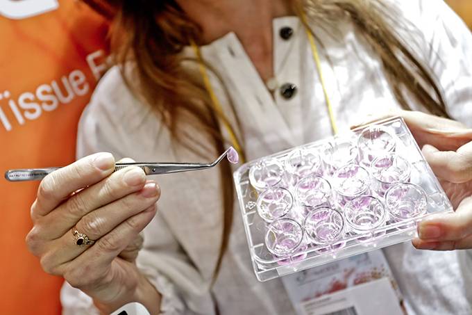 Statup brasileira inova criando pele humana artificial