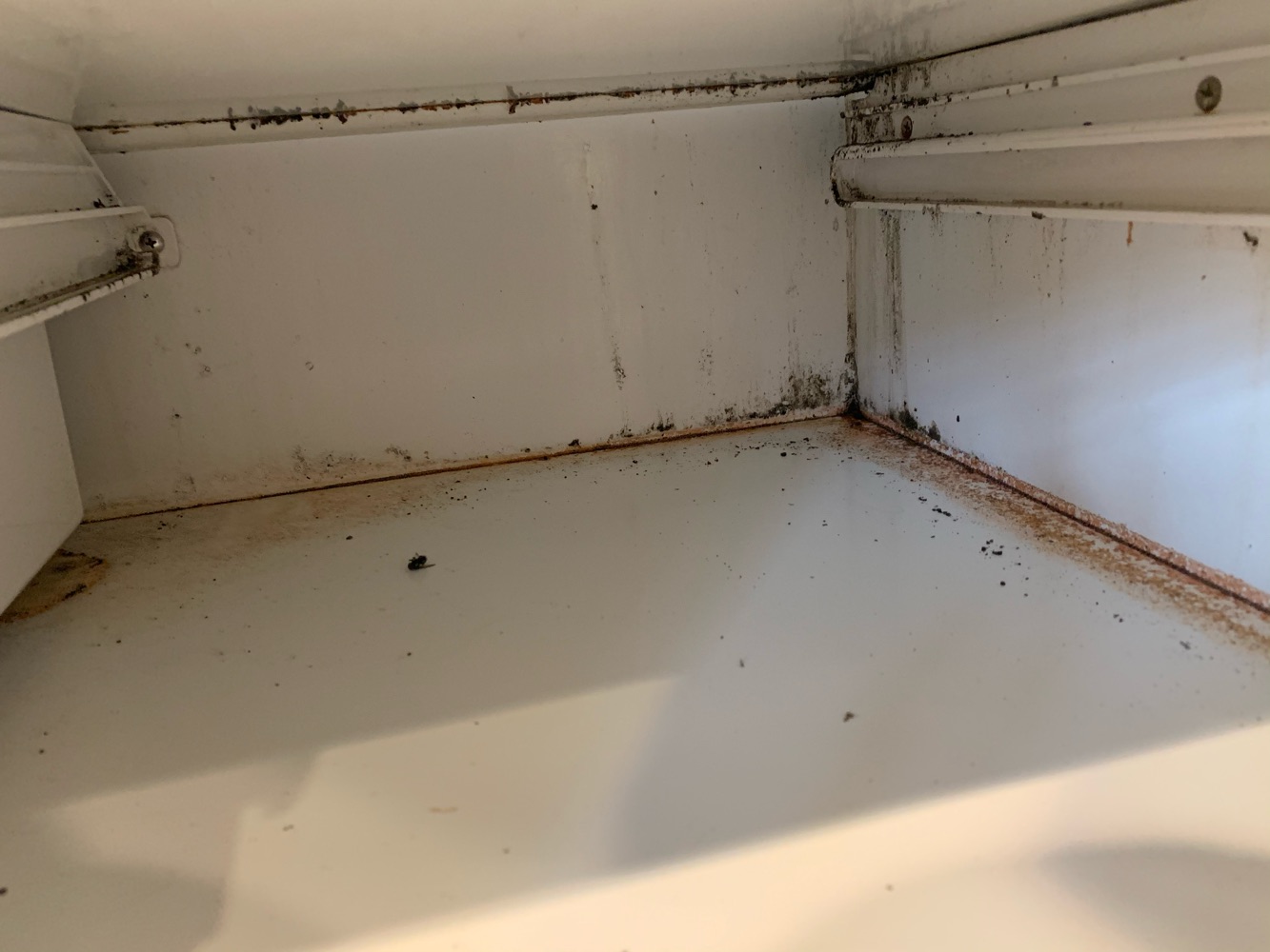 ᐉ SubZero Refrigerator Is Leaking? All The Easy Fixes — Prime HVAC