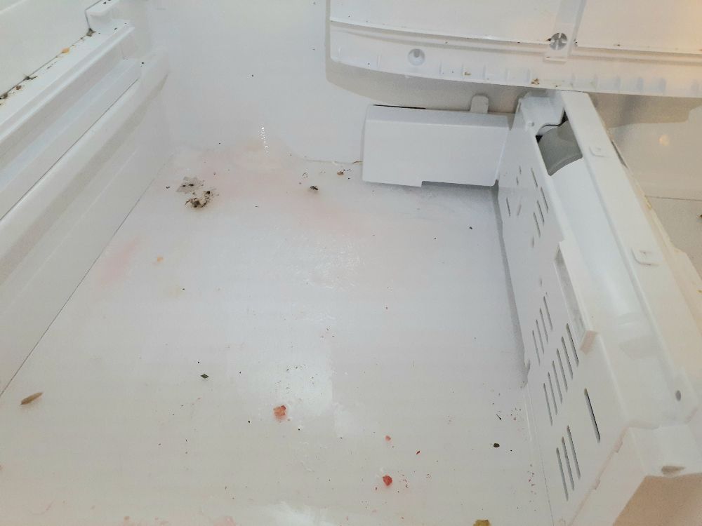 ᐉ How to fix Samsung Refrigerator water dripping from the bottom