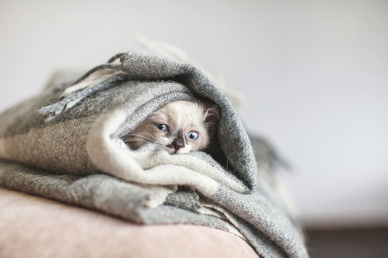 ᐉ Why is my Rheem air conditioner running but not cooling the house? — Prime HVAC & Appliance Repair