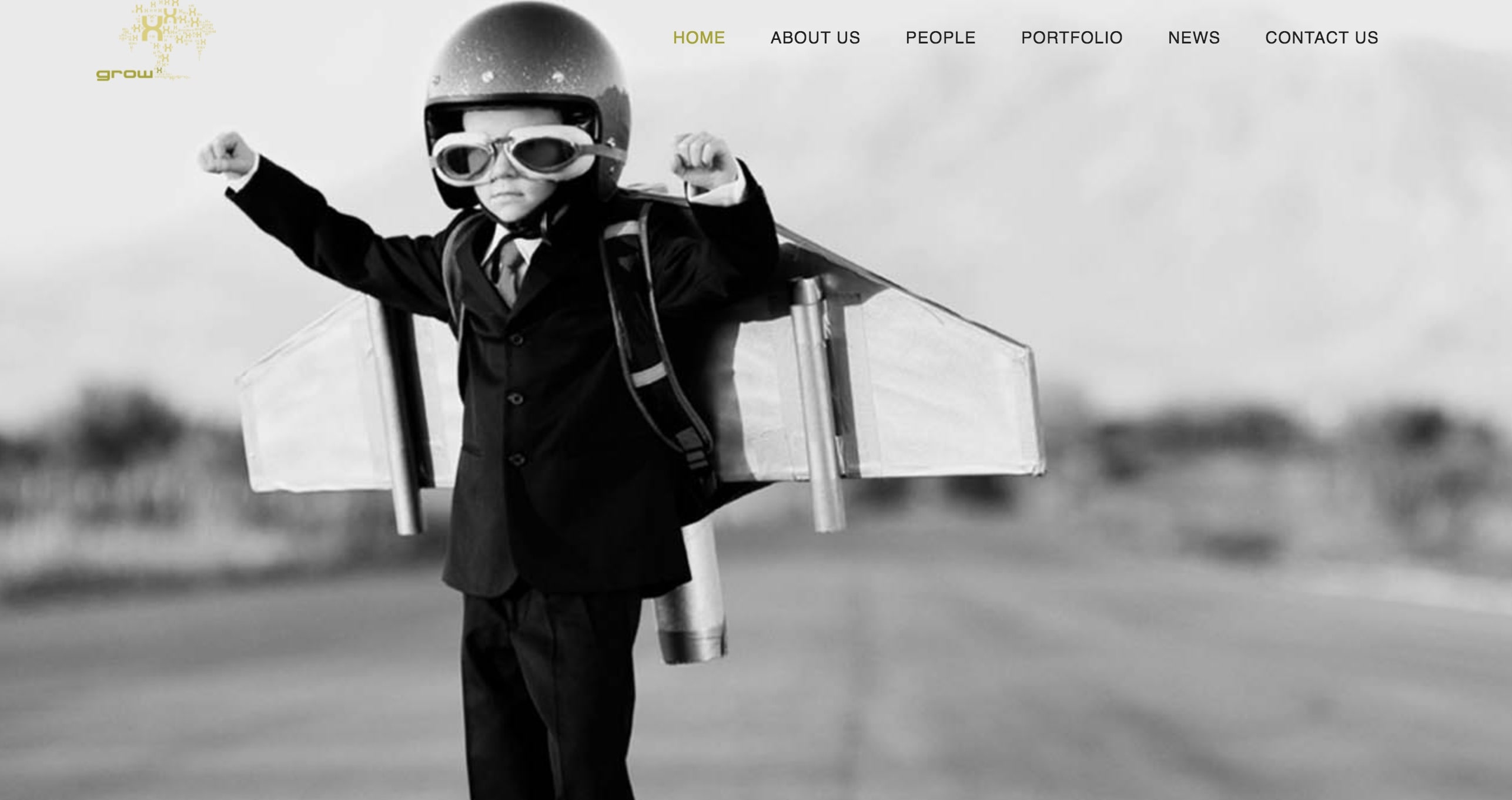 growX Ventures - VC Investor in Delhi