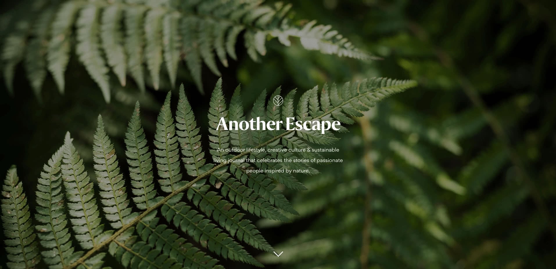 Another Escape website