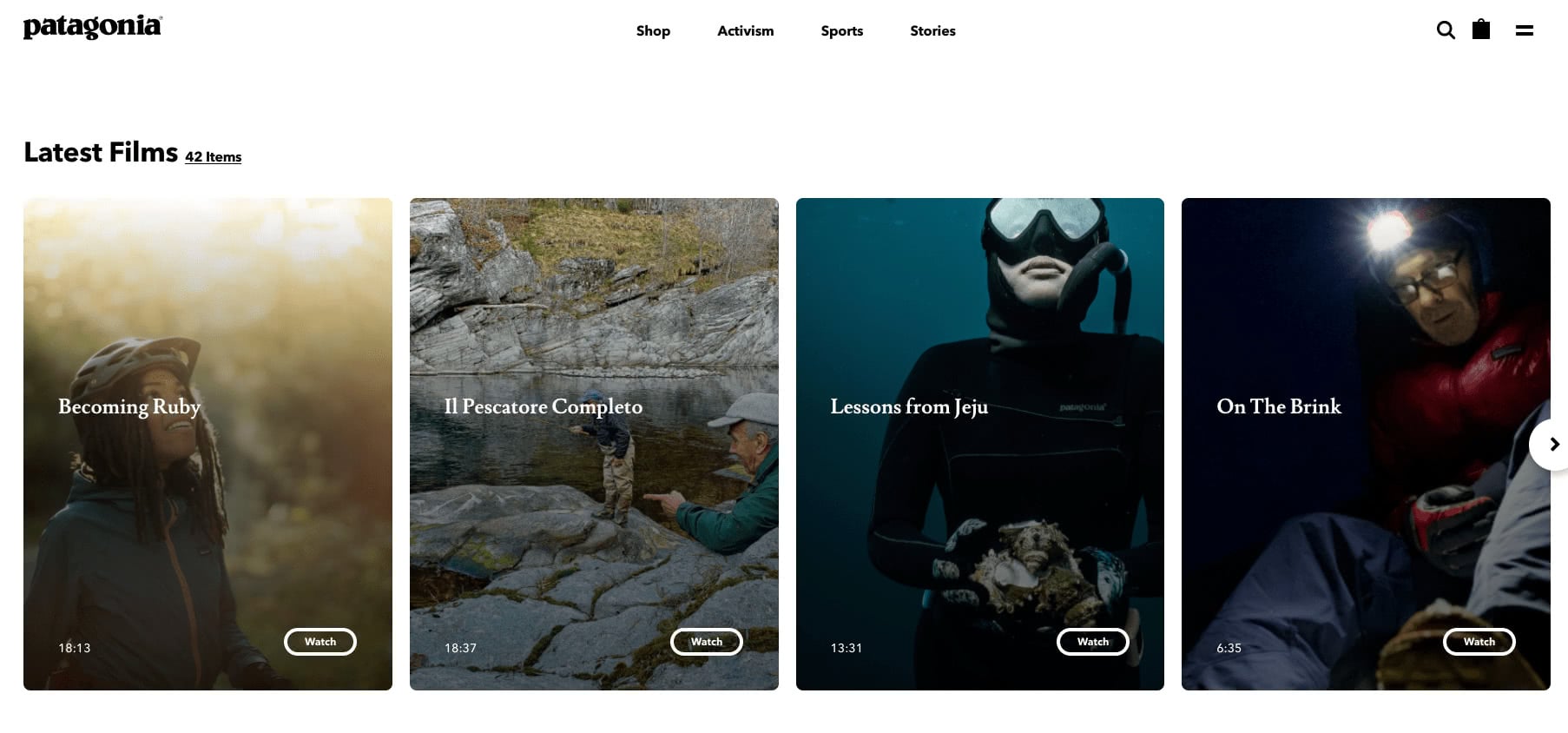 Patagonia stories website