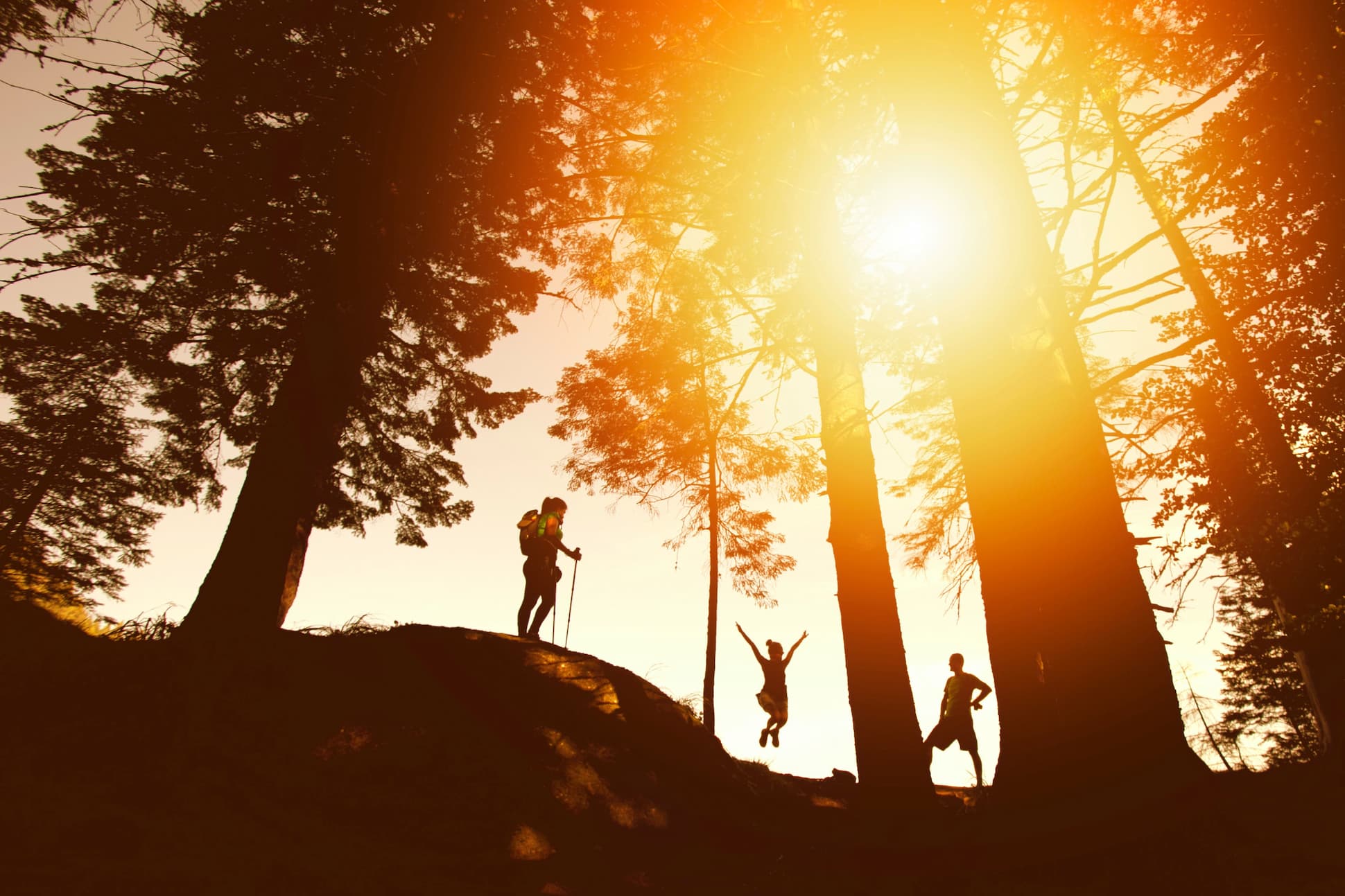 friends in nature