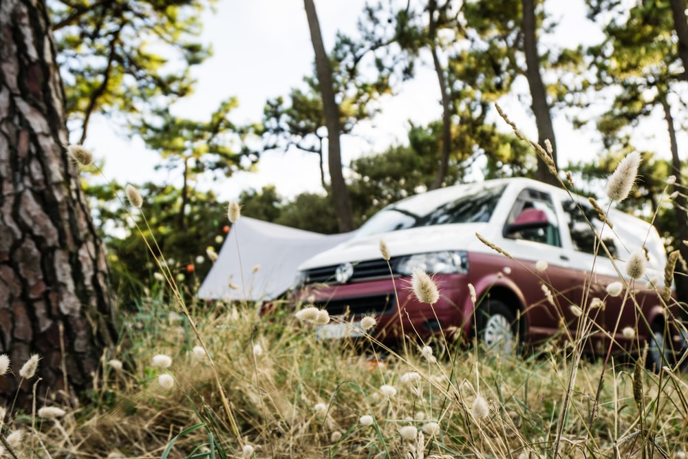 small campervan base vehicle van life