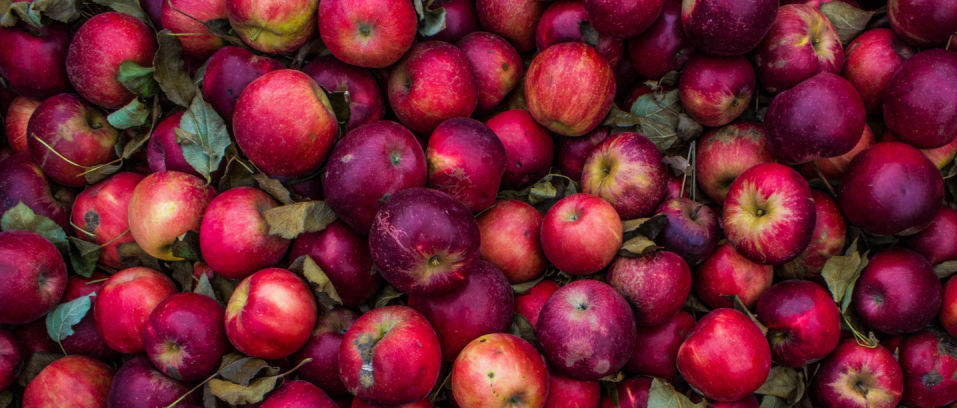 production planning fresh produce