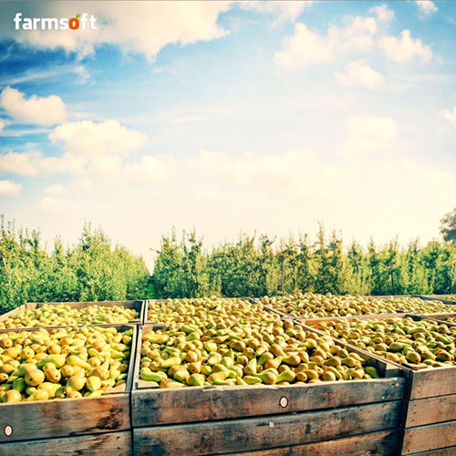 Fresh produce compliance