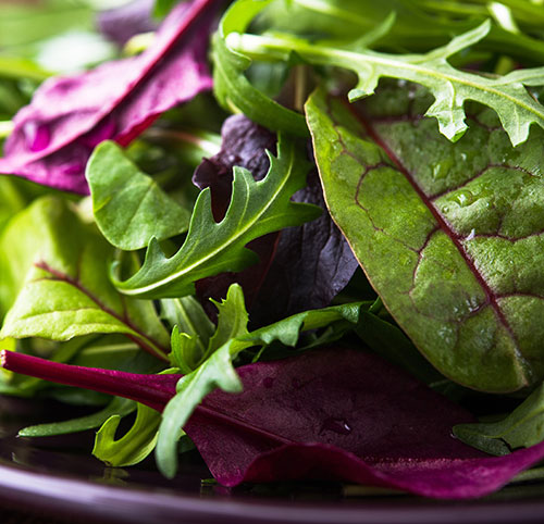 Fresh produce compliance HACCP GLOBALG.A.P