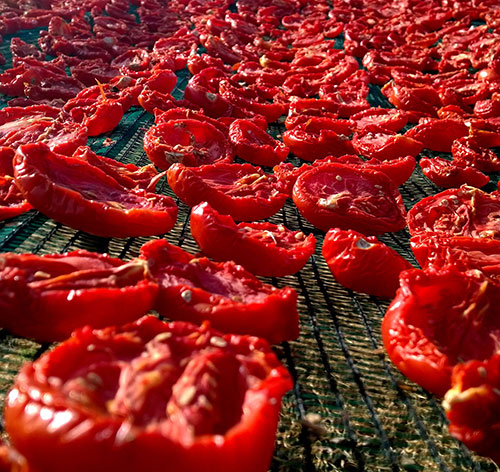 fresh produce traceability for fruit & vegetables
