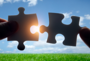 Essential Steps to Expert Demand Planning in fresh produce supply chains